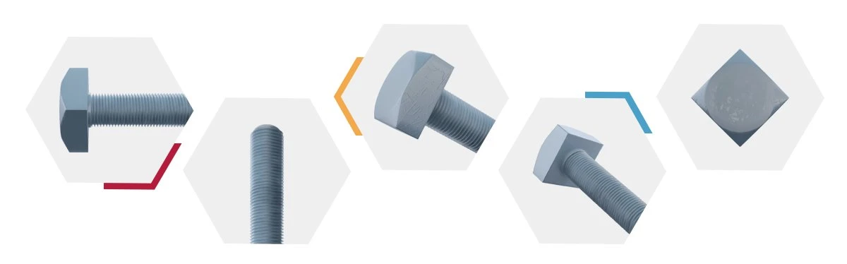 Galvanized Square Bolts aya