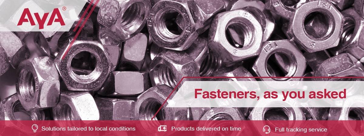 Stainless Steel Flange Nuts-ISO 4161-AYA